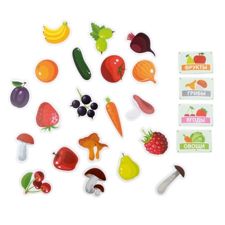 Velcro plastic "Fruits, vegetables, berries, mushrooms"-2