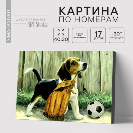 Picture on numbers on a canvas with a subframe "Puppy with a ball", 40 x 30 cm