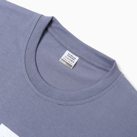 Male T -shirt with print, gray color, size 50-1