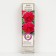 Pion tree peony (vaccinated on grassy) "Dragon flowers", 1 pc, tube, spring 2025
