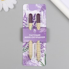 Growing gift pencils Mini 