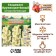 Gladiolus large-flowered "CRIM PERCOND", rr 8/10, 7 pcs,