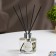 Diffuser 120ml, "interior", apple, 7 sticks with filler