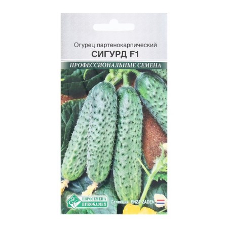 Seeds Cucumber Parthenocard Sigurd F1, 5 pcs
