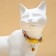 Koshachi collar "Kandinsky", with a tambourine, 30 x 1 cm, polyester