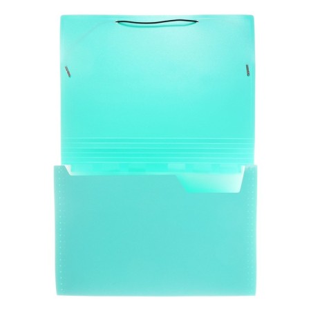 Folder Carder Calligrata watercolor 13 department. A4 plastic 0.7mm mint, black resident-3