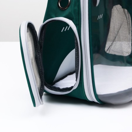 A backpack for carrying animals "cat", transparent, 34 x 25 x 40 cm, green-5