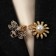 Cardigan clamp "Bee", black and white color in gold