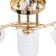 Cassius Cassius 3he27 40W Gold Shampan 56x20x30 cm Bayerlux