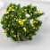 Artificial plant for creativity plastic "Lemon tree" 7 cm