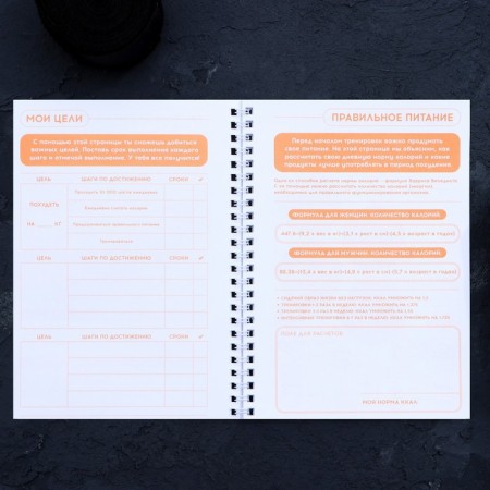 Diary of training "Hot Celend" on the spring, 25 sheets-6