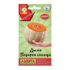 Seeds of melon 
