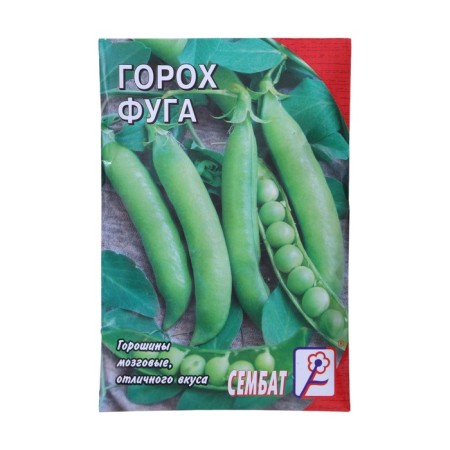 Seed peas "Fuga", 10 g