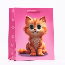 Gift package 