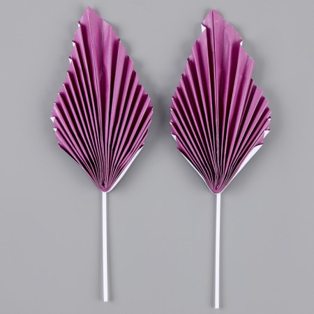 A set of "feather", a set of 2 pcs, a purple color-1