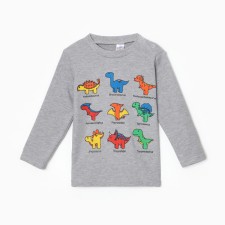 Longslit for a boy, color gray melange, height 104 cm