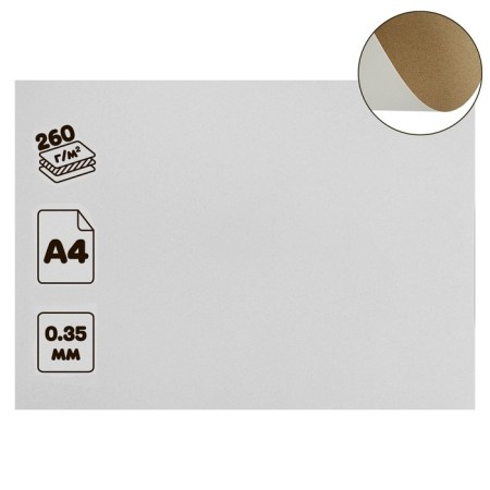 Cardboard chrome-ersatz A4 (21 x 30 cm), non-nominated, 0.35 mm, 260 g/m2