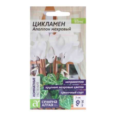 Seeds of indoor flowers Cyclamen "Apollo", 3 pcs.-4