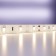 Maytoni LED tape, 12V, IP20, 2835, 4.8W/m, 3000k, 5 m, monochrome glow