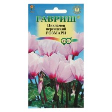 Flower seeds Cyclamen 