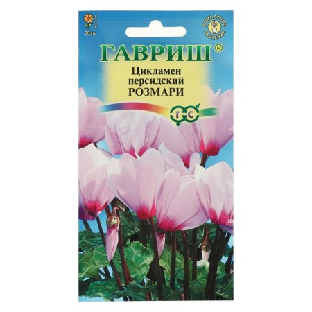 Flower seeds Cyclamen "Rosemary", Persian, 3 pcs.