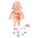 Euryki set for experiments "Human body structure", 15 details