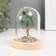 Souvenir "Cash tree in the flask" green 36 stones 7.8x7.8x10 cm