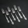 Set of cutlery "Slavyanka", 24 items, decorative box, silver color
