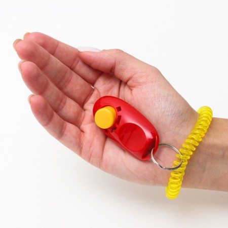 Clider for training dogs with a bracelet on the hand, red-4