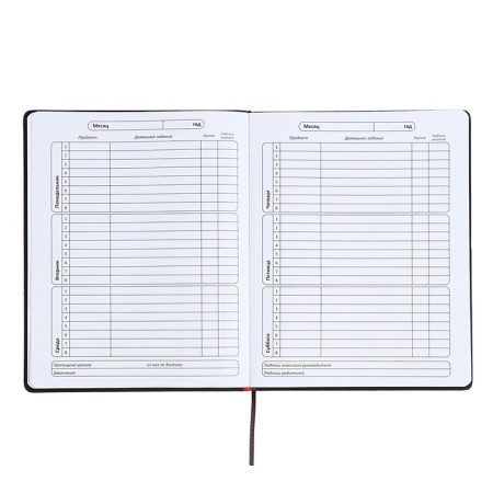 Universal diary for grades 1-11 "Font", firm cover of artificial leather, lies, 48 ​​sheets, black and blue-6