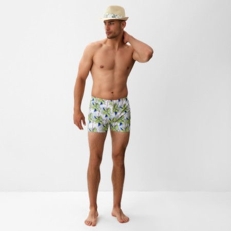 Bathing panties men's minku "palm trees", river 50-3