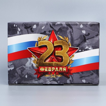 Box Gift team, packaging, "February 23", 22 x 15 x 10 cm-3