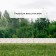 Decorative fence, 30 × 200 cm, 10 sections, plastic, white "birch grove"
