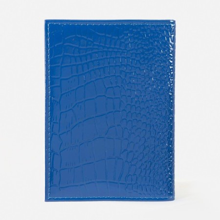 Cover for autoDocations, crocodile, blue color-1
