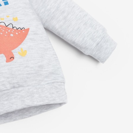 Set: jumper and pants crumb I "Dino", height 80-86 cm, gray/blue color-2