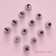 Set of confectionery share "Assistant", 12 nozzles, d = 1.8 cm, bag 23 cm, mix nozzles
