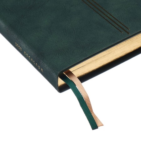 Dated 2025 diary, A5, 176 sheets of Escalada, solid cover of artificial leather, 3D design, embossing foil, lies, cream block 70 g/m2, green-4