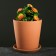 Flower Terra pot No. 2 0.9 l, terracott