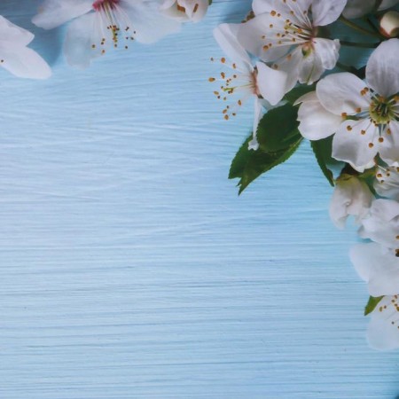 Photophone bilateral paper 300 g "Apple color on blue and white" 57x87 cm-2