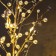 LED bush "Beads" 55 × 30 × 3 cm, 20 LED, constant glow, from batteries CR2032x2 (included), glow warm white