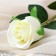 Artificial flowers "Bunny Rose" 5x50 cm, white