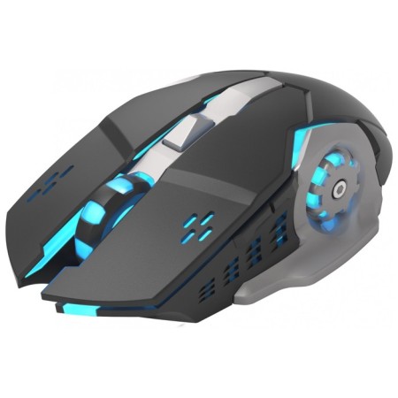 Mouse call 770GW black/optical silver (3600DPI) wireless USB for a laptop (6BU 107487-6