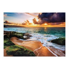 Picture on the canvas 