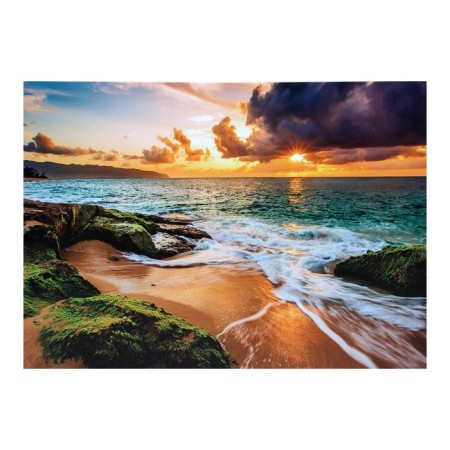 Picture on the canvas "Rocky Shore" 50*70 cm