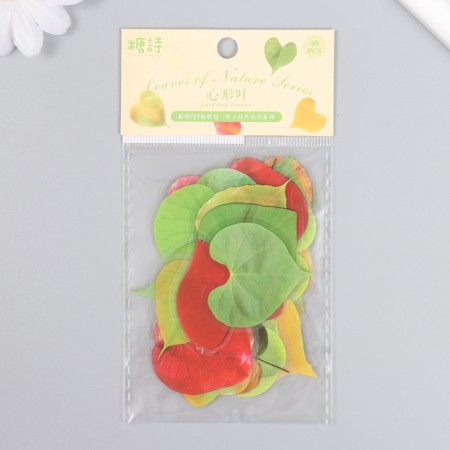 Stickers for creativity plastic "Heart forms" set 40 pcs 0.3x8x14.8 cm-3