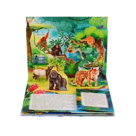 Animals-2