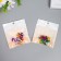 Set of decor for creativity "Color bells" d = 1.6 cm set 10 pcs