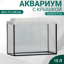 Aquarium 