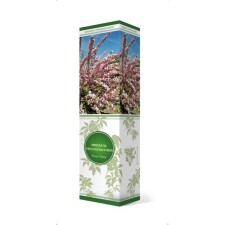 Three -lobed almonds, 1 pc, tube, spring 2025