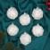 Set of balls plastic D-6 cm, 6 pcs "Alvaro" sequin, white